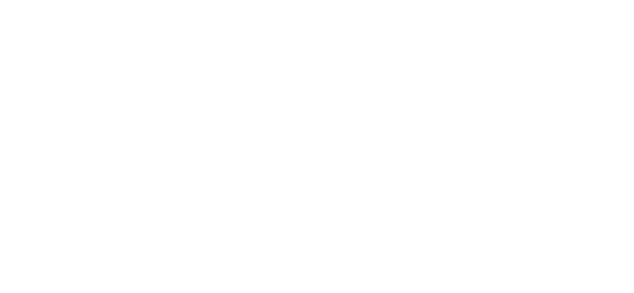 PASGmbH%20weiss